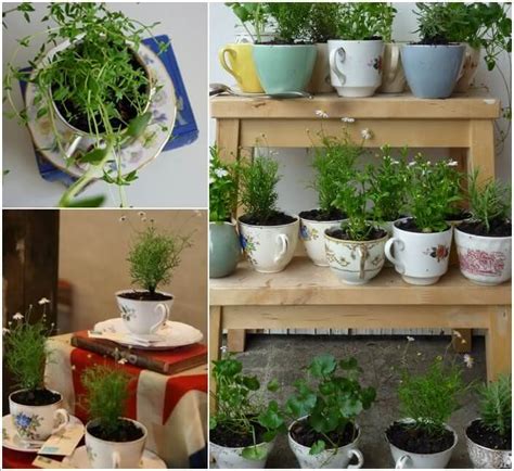 24 Indoor Herb Garden Ideas To Look For Inspiration Balcony Garden Web