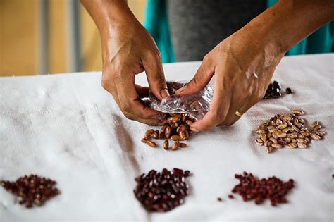 Simple Science: How to Make a Volcano with Kids