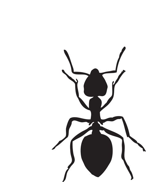 Clipart Png Ant Clipart Png Ant Transparent Free For Download On
