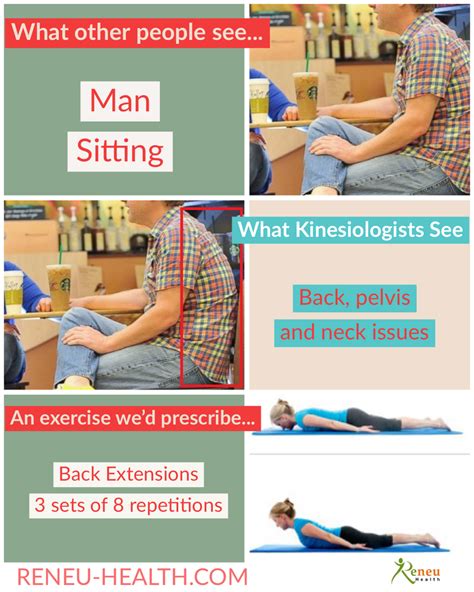 Through A Kinesiologists Eyes Seated Posture