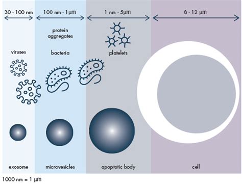 Trends Exploring Extracellular Vesicles With Flow Cytometry Today S