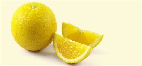 Citrus Limetta Alchetron The Free Social Encyclopedia