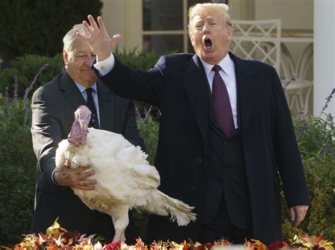 president trump pardons 2 thanksgiving turkeys ncpr news