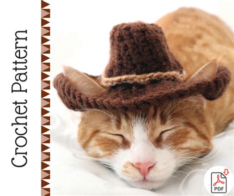 Cat Cowboy Hat Crochet Pattern Pawsomecrochet
