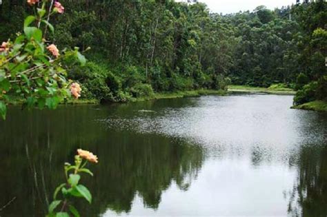 Anamudi Shola National Park In Idukki Kerala Keralaorbit
