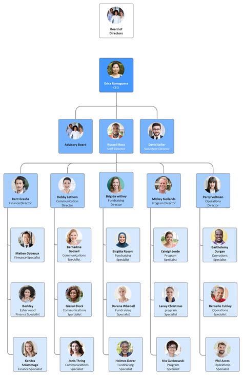 Hierarchy Organizational Chart Complete Guide Edrawmax The Best Porn Website