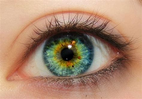 31 Awesome Heterochromia Blue Green Images Beautiful Eyes Color Blue