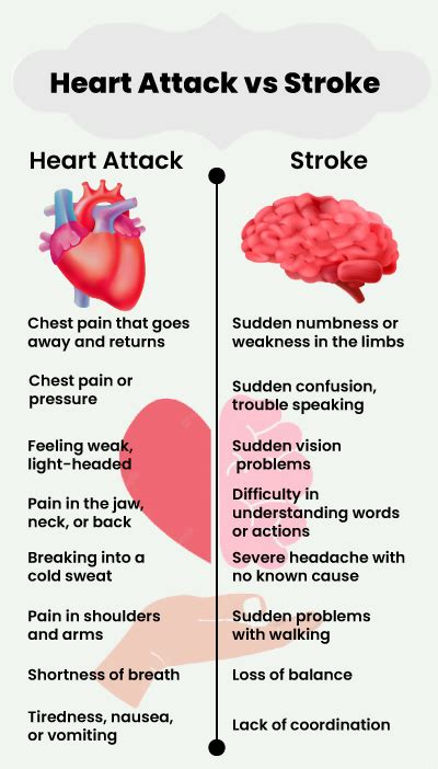 Stroke Vs Heart Attack Are They Similar Or Different