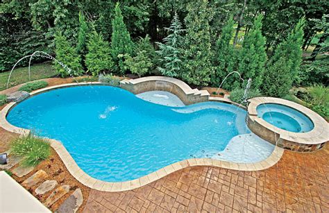 Free Form Pool Ideas Shapes And Pictures Blue Haven