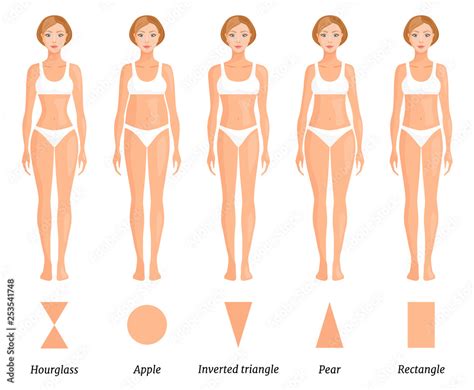 Forms Of Female Body Type Various Figures Of Women Vector Vector De Stock Adobe Stock