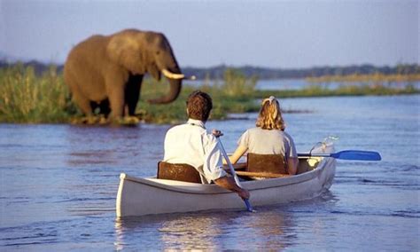 Lake Manyara National Park Activities Tanzania Safaris Tours
