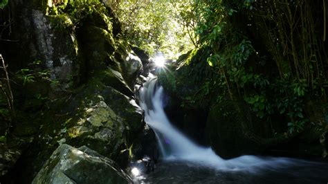 Free Images Landscape Nature Waterfall Sunlight River Summer Stream Jungle Holiday