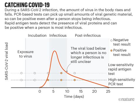 Rapid Coronavirus Tests A Guide For The Perplexed