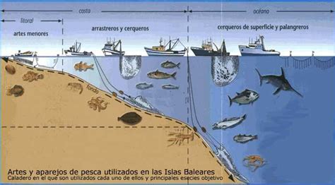 Artes De Pesca Utilizados En Las Islas Baleares Costa Habitat Hockey