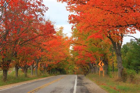 7 Most Scenic Fall Drives In America