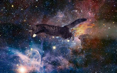 Majestic Cat Flying In Space By Tobiastk45 On Deviantart