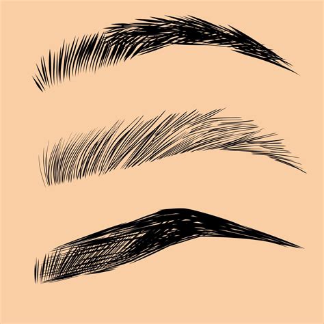 Eyebrows Design Logo Vector Brows Minimalism Vector Art At