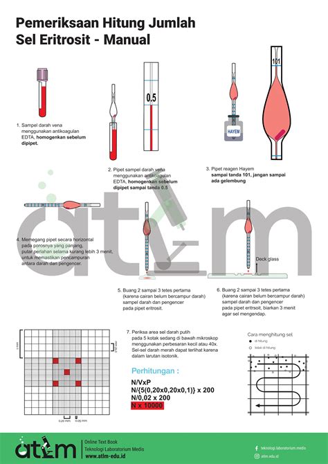 Menghitung Jumlah Sel Eritrosit Metode Visual Hemositometer Online