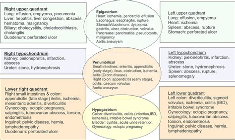 Summary Of Differential Diagnosis For Abdominal Pain Based On Its