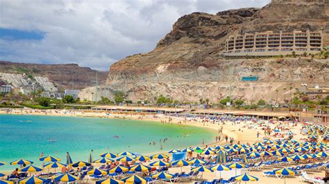 Visit Las Palmas De Gran Canaria Best Of Las Palmas De Gran Canaria Tourism Expedia Travel Guide