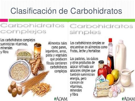 Metabolismo De Los Carbohidratos