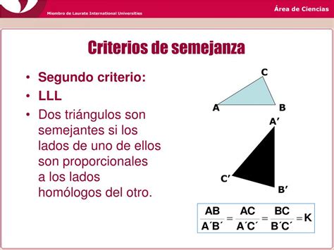 Ppt Semejanza De Triángulos Powerpoint Presentation Free Download