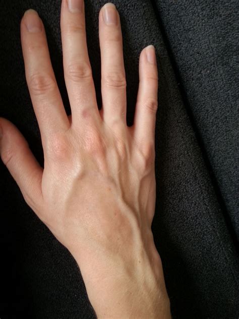 Veiny Hands Beautiful Hands Masc Fashion Hand Reference