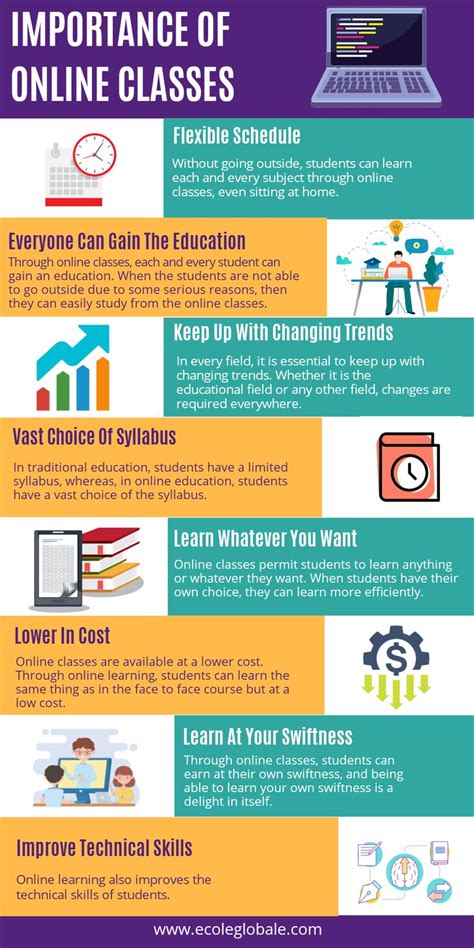 Importance Of Online Classes Educational Infographic