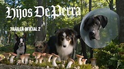 Hijos de perra (Strays) - Tráiler - Dosis Media