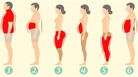6 Types Of Body Fat And How To Get Rid Of It 2020 Hindi Youtube