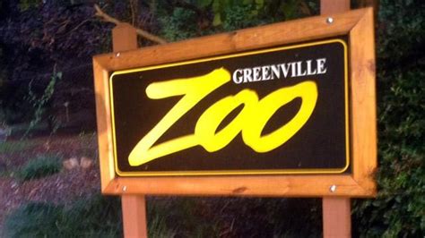 Greenville Zoo Offering Commemorative Bricks For New Lions Den Fox