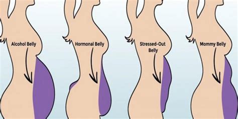 Types Of Belly Fat And How To Get Rid Of Them The Harmless Way Easylifetimes