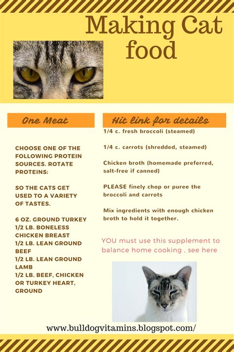 But, if your cat is ill, you must consult a veterinarian before you change your cat's diet. I love My Dog; Natural Pet Health,: Picky cat food recipes ...
