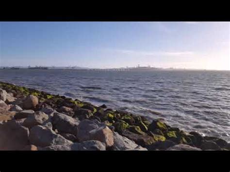 Nice Day On The Bay In Emeryville Marina Youtube