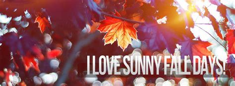 I Love Sunny Fall Days Facebook Cover Facebook Cover Autumn Quotes