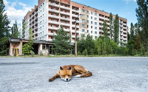 Chernobyl Today Pictures Nearly Three Decades Later The Chernobyl Site Is Contained By Usaid U