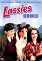 Lassies Heimweh: DVD oder Blu-ray leihen - VIDEOBUSTER.de