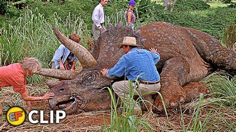 The Sick Triceratops Scene Jurassic Park 1993 Movie Clip Hd 4k