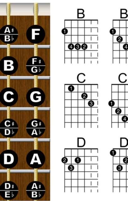 Laminated Left Handed Guitar Chord Fretboard Chart Poster Leftie Notes