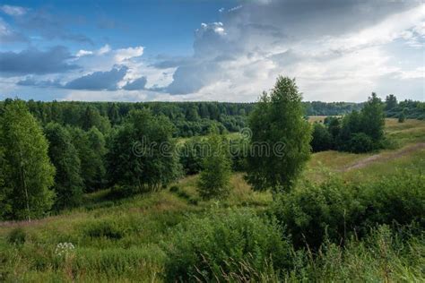 Landscape With Forests And Small Meadows And A Beautiful Cloudy Sky