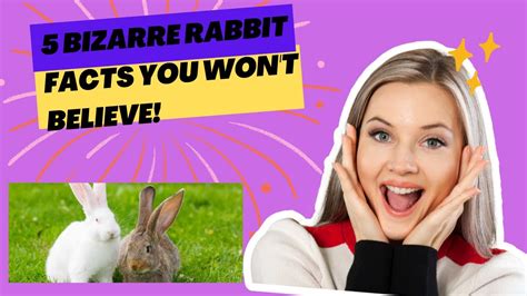 5 Bizarre Rabbit Facts You Wont Believe Youtube