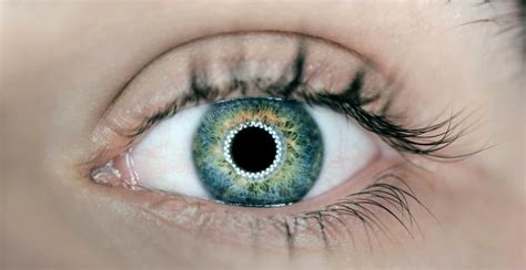 Un studiu arată că vederea ar putea fi îmbunătățită dacă ne uităm