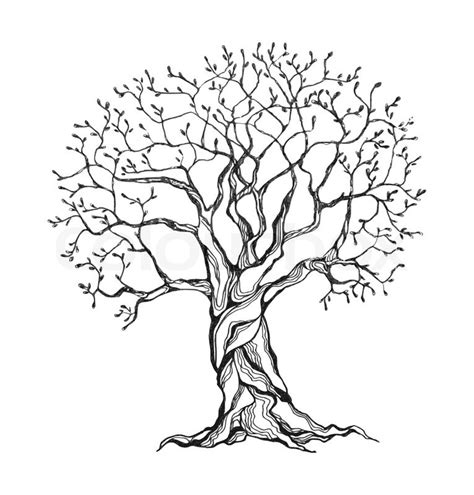 Winter Tree In A Stylized Style Black And White Colors