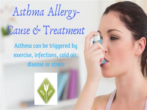 Allergies And Asthma Can They Occur Together Allergies