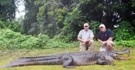 Mississippi Hunters Capture 756 Pound Alligator