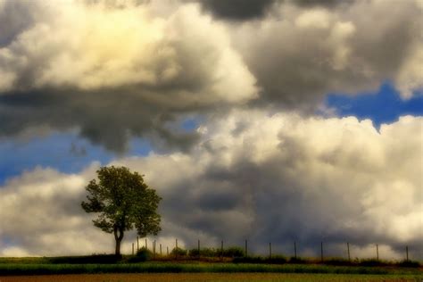 Free Images Landscape Tree Nature Grass Horizon Cloud Field