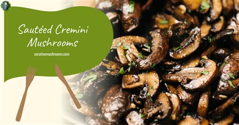 How To Cook Cremini Mushrooms Top Cremini Mushroom Recipes