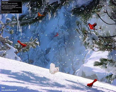 Animated Winter Screensavers And Wallpapers Wallpapersafari