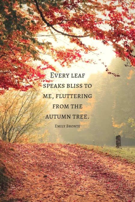 90 Fall Quotes And Autumn Quotes To Enchant The Soul Mom Soul Soothers