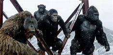 Five New Cast Members Join the Movie KINGDOM OF THE PLANET OF THE APES ...